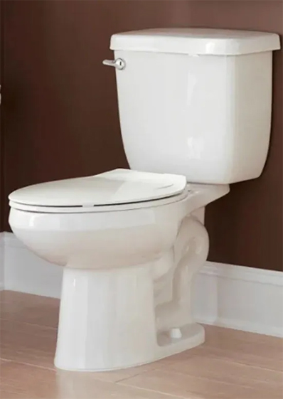 Elongated ADA Toilet